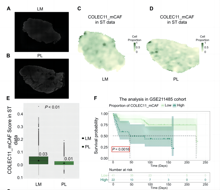 F05_Figure 8 from Deng et al250908